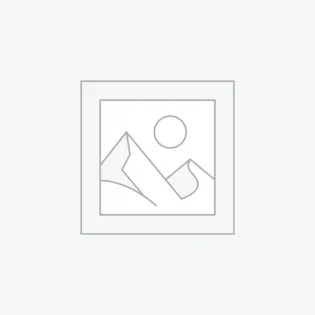 Uncategorized